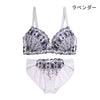 脇高ブラ&ショーツセット グラデーションチュール【EFGHサイズ】 ba0967a