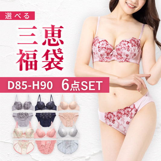 選べる三恵福袋D85-H60 6点セット