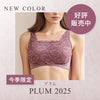 [今日発送]胸を小さく見せるレギュラーブラ【プラム】