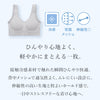 冷感らくちんノンワイヤーブラジャー【M/L/LL/3Lサイズ】b3518