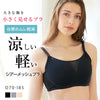 [今日発送]胸を小さく見せるシアーメッシュブラ