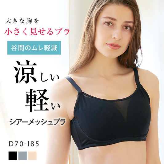[今日発送]胸を小さく見せるシアーメッシュブラ