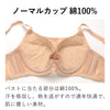 [今日発送]胸を小さく見せるシアーメッシュブラ
