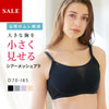 [今日発送]胸を小さく見せるシアーメッシュブラ