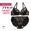 ブラ＆ショーツセット 小胸フィット 【AAAサイズ AAサイズ】b9575c