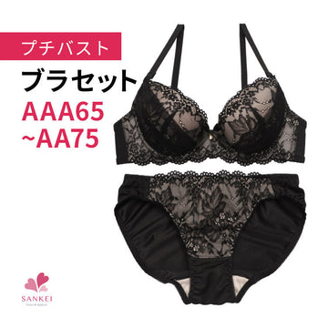 ブラ＆ショーツセット 小胸フィット 【AAAサイズ AAサイズ】b9575c