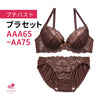 ブラ＆ショーツセット 小胸フィット 【AAAサイズ AAサイズ】b9575g