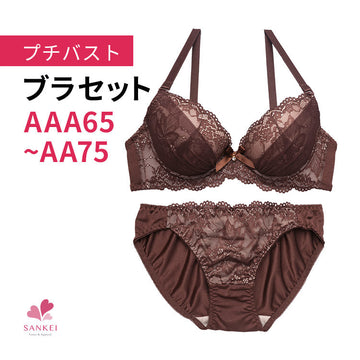 ブラ＆ショーツセット 小胸フィット 【AAAサイズ AAサイズ】b9575g