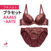 ブラ＆ショーツセット 小胸フィット 【AAAサイズ AAサイズ】b9575i