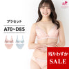 ブラ＆ショーツセット 花柄チュール 【ABCDサイズ】 ba0817