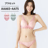 ブラ＆ショーツセット シアーレース 【AAA・AAサイズ】 ba0913