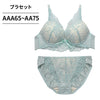 ブラ＆ショーツセット シアーレース 【AAA・AAサイズ】 ba0913b