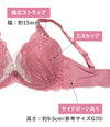 ブラ＆ショーツセット フルカップ風レース【EFGHサイズ】 ba0919b