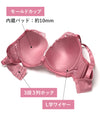 ブラ＆ショーツセット フルカップ風レース【EFGHサイズ】 ba0919b