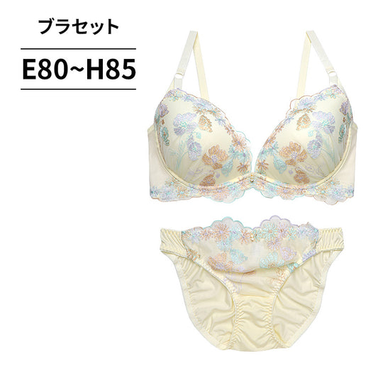 ブラ＆ショーツセット 花柄刺繍【EFGHサイズ】 ba0920a