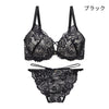 脇高ブラ＆ショーツセット 総レース【EFGHサイズ】 ba0930a