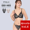脇高ブラ＆ショーツセット 総レース【EFGHサイズ】 ba0930