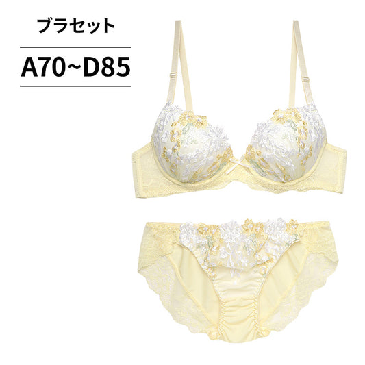 ブラ＆ショーツセット 花柄刺繍 【ABCDサイズ】 ba0944b
