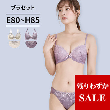 ブラ＆ショーツセット 小花柄刺繍【EFGHサイズ】 ba0950
