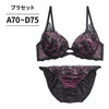 ブラ＆ショーツセット ブラックレース 【ABCDサイズ】 ba0957a