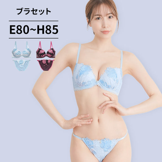 ブラ＆ショーツセット バラ柄刺繍【EFGHサイズ】 ba0966
