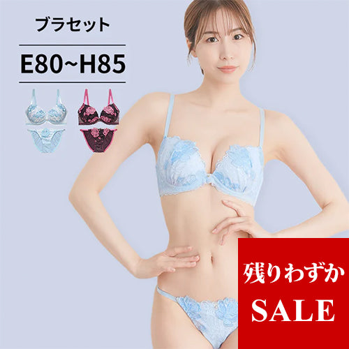 ブラ＆ショーツセット バラ柄刺繍【EFGHサイズ】 ba0966