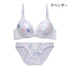 ブラ＆ショーツセット 花柄シフォン 【ABCDサイズ】 ba0974