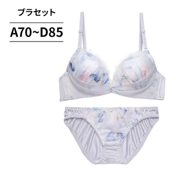 ブラ＆ショーツセット 花柄シフォン 【ABCDサイズ】 ba0974a