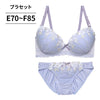 ブラ＆ショーツセット 花柄刺繍【EFサイズ】ba0977a