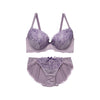 [まとめ買い対象]ブラ＆ショーツセット ローズ柄刺繍【EFGHサイズ】 ba0985