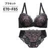 ブラ＆ショーツセット 雪柄刺繍【EFサイズ】ba0989a
