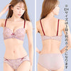 ブラ＆ショーツセット 花柄刺繍【EFGHサイズ】 ba1004b