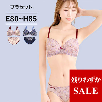 ブラ＆ショーツセット 花柄刺繍【EFGHサイズ】 ba1004