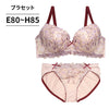 ブラ＆ショーツセット 花柄刺繍【EFGHサイズ】 ba1004a