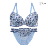 ブラ＆ショーツセット 花柄刺繍【EFGHサイズ】 ba1005