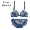 脇高ブラ＆ショーツセット 花柄刺繍 【ABCDサイズ】 ba1006b