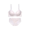 脇高ブラ＆ショーツセット 花柄刺繡【EFGHサイズ】 ba1013a