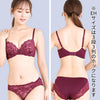 脇高ブラ＆ショーツセット フロントレース【EFGHサイズ】 ba1017