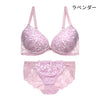 脇高ブラ＆ショーツセット 小花柄刺繍【EFGHサイズ】 ba1026a
