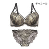 ブラ＆ショーツセット 総レース×クロスストリング【EFGHサイズ】 ba1033a