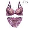 ブラ＆ショーツセット 総レース×クロスストリング【EFGHサイズ】 ba1033b