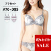 ブラ＆ショーツセット 花柄刺繍 【ABCDサイズ】 ba1039
