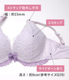 ブラ＆ショーツセット レース×レース【EFGHサイズ】 ba1047