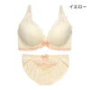 ブラ＆ショーツセット レース×レース【EFGHサイズ】 ba1047