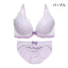 ブラ＆ショーツセット レース×レース【EFGHサイズ】 ba1047