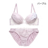 脇高ブラ＆ショーツセット 花柄レース×シフォン 【ABCDサイズ】 ba1050b