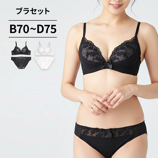 ブラ＆ショーツセット 花柄刺繍×シフォン 【BCDサイズ】 ba1051
