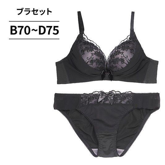 ブラ＆ショーツセット 花柄刺繍×シフォン 【BCDサイズ】 ba1051a