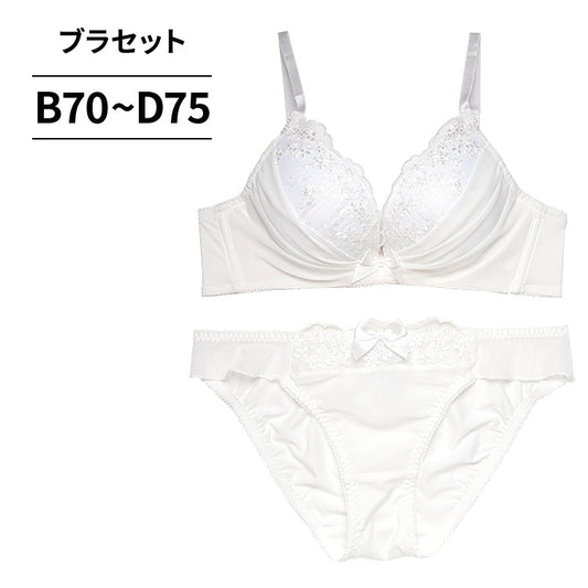 ブラ＆ショーツセット 花柄刺繍×シフォン 【BCDサイズ】 ba1051b