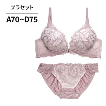 脇高ブラ＆ショーツセット 花柄刺繍 【ABCDサイズ】 ba1068b